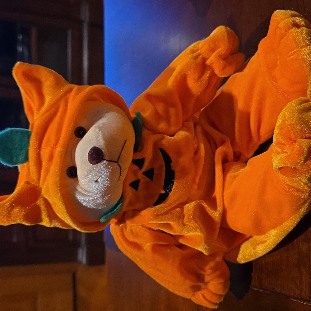 Trio Halloween Themed Plush Bear, Pumpkin, Pumpkin Face, And Moon &Star - Picture 2 of 9